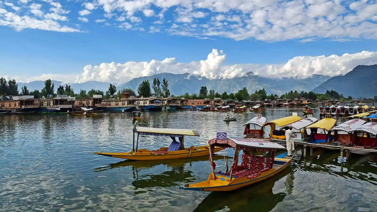 Kashmir